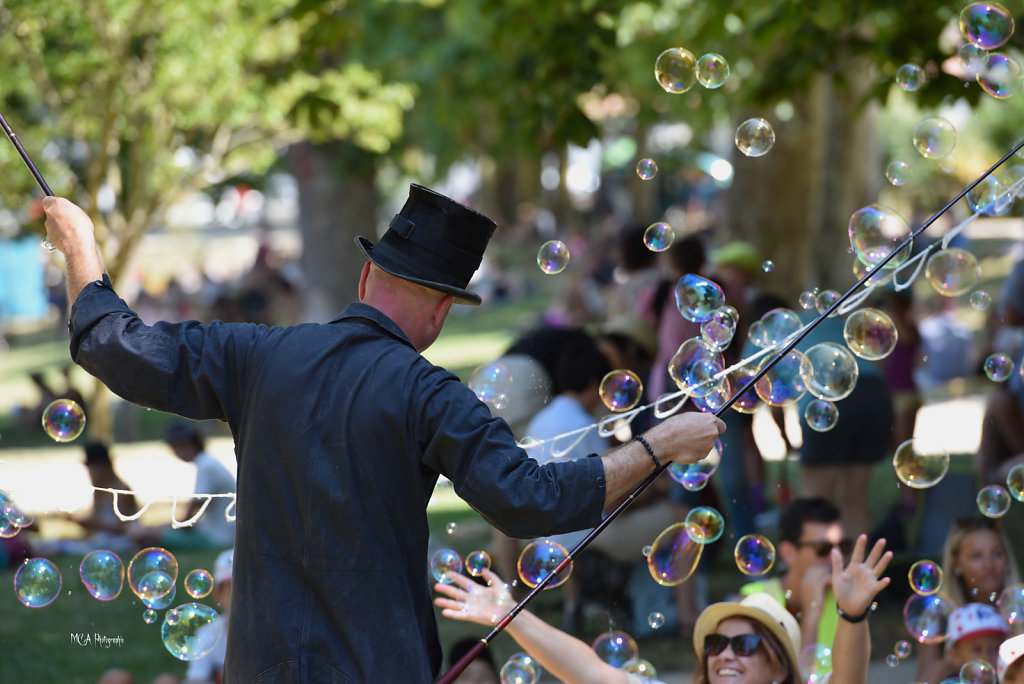 Le Dresseur de Bulles