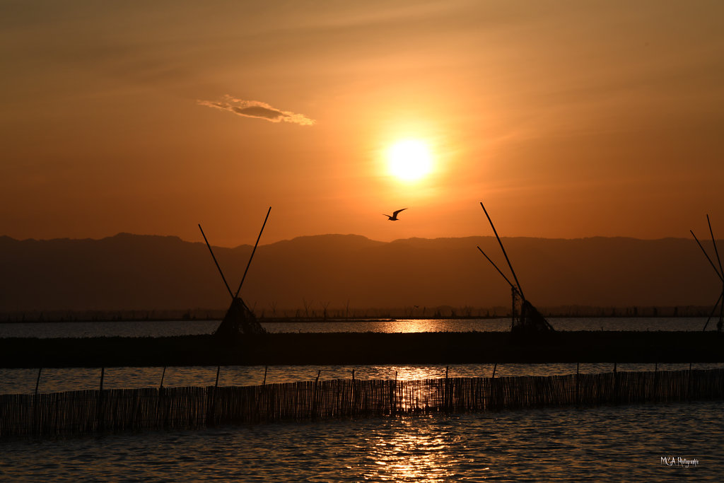 Le lac Tempe 