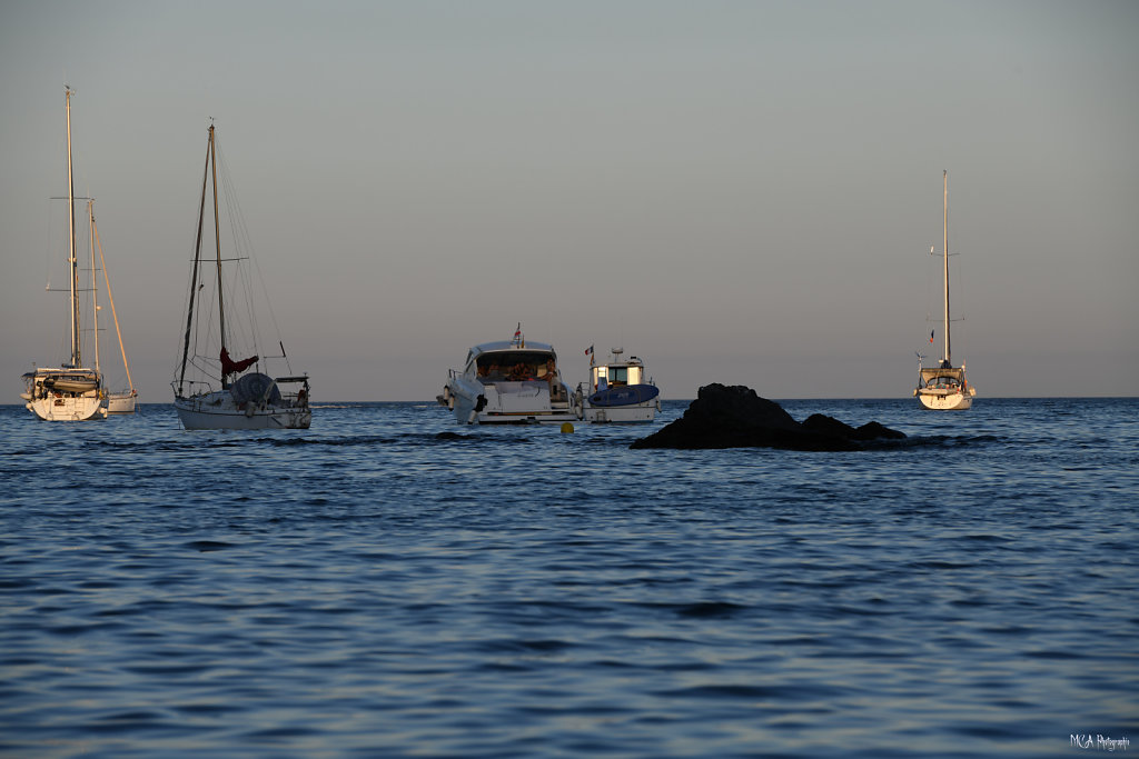 l’Anse de Paulilles 