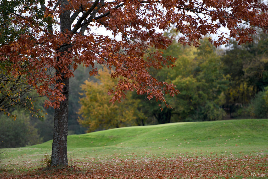 L'automne 