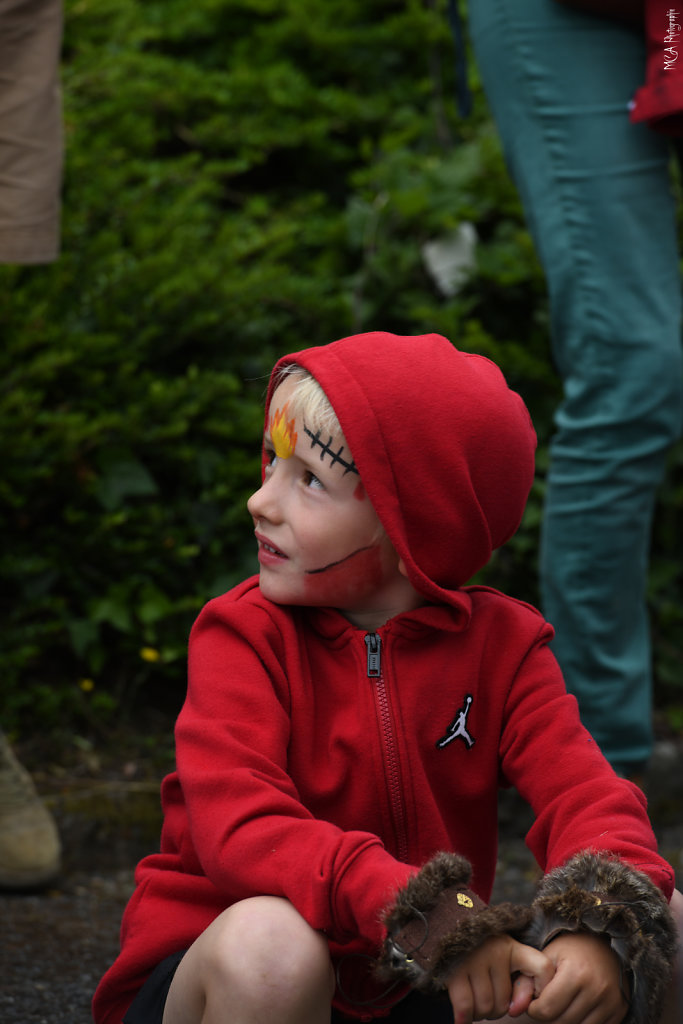 Petit Viking 