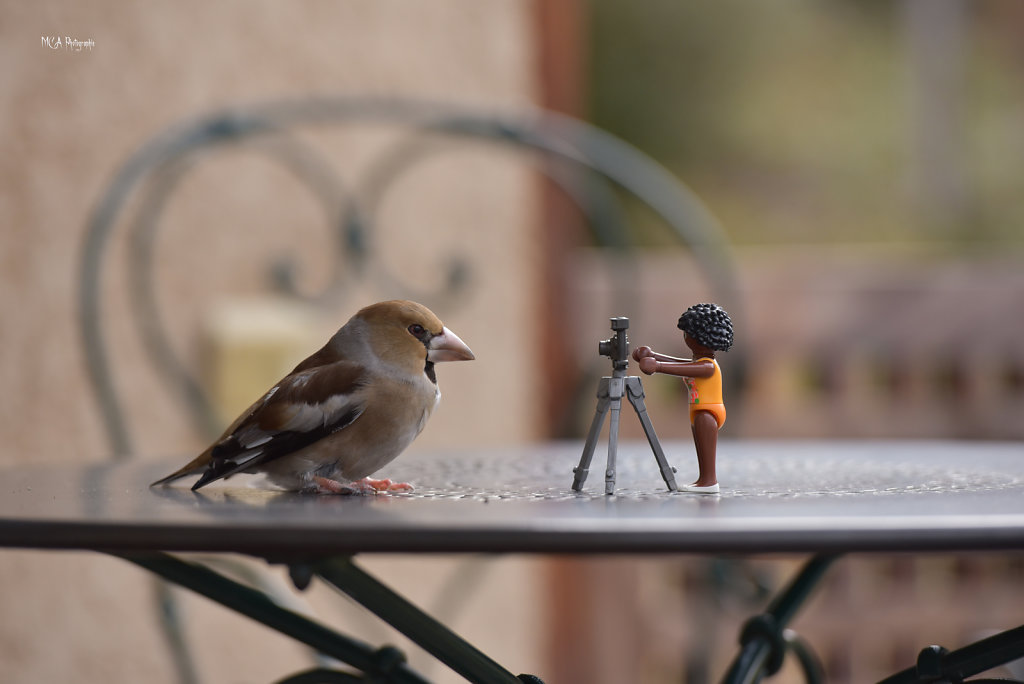 Un photographe en action
